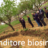 organizzazione biosinergica